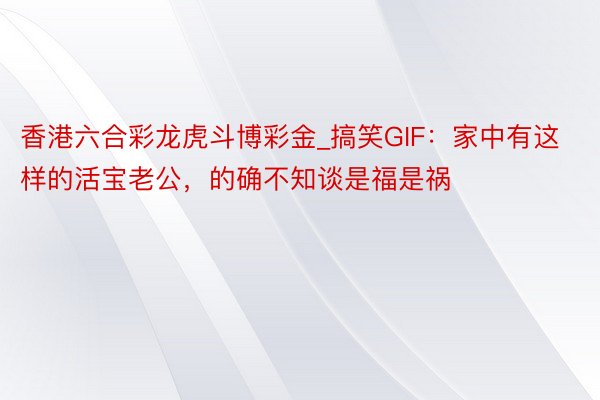 香港六合彩龙虎斗博彩金_搞笑GIF：家中有这样的活宝老公，的确不知谈是福是祸