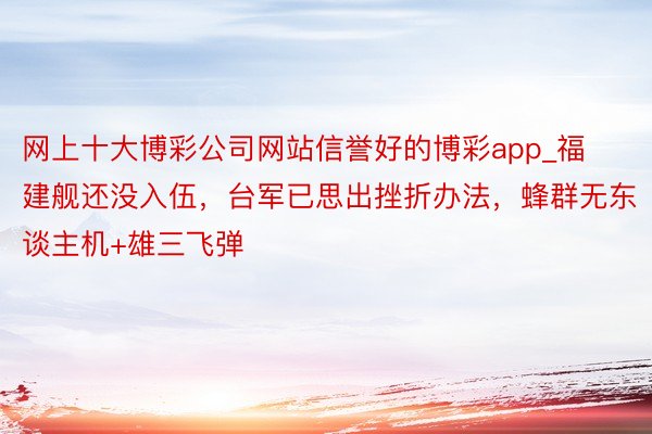 网上十大博彩公司网站信誉好的博彩app_福建舰还没入伍，台军已思出挫折办法，蜂群无东谈主机+雄三飞弹
